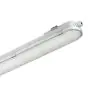 Philips LED Waterdichte Montagebalk CoreLine WT120C G2 61W 8000lm - 840 Koel Wit | 150cm - Dali Dimbaar 